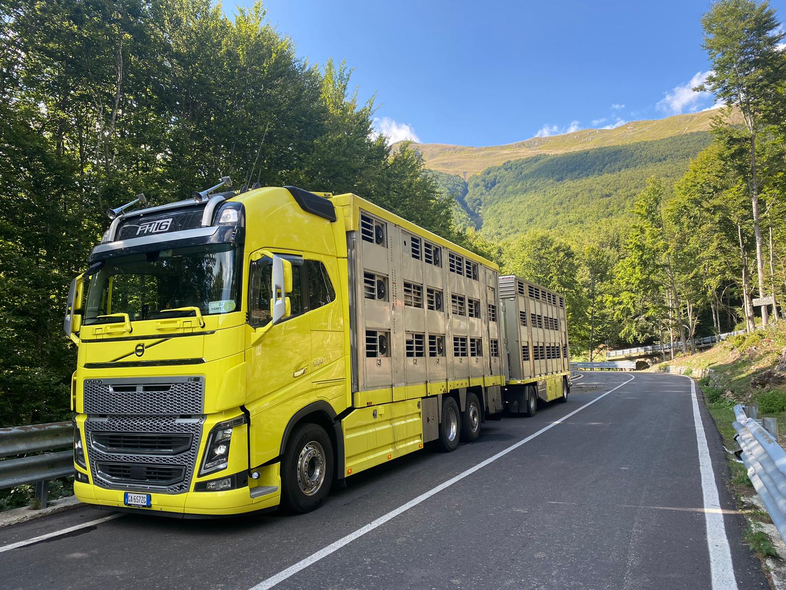 Camion TB Logistica in montagna